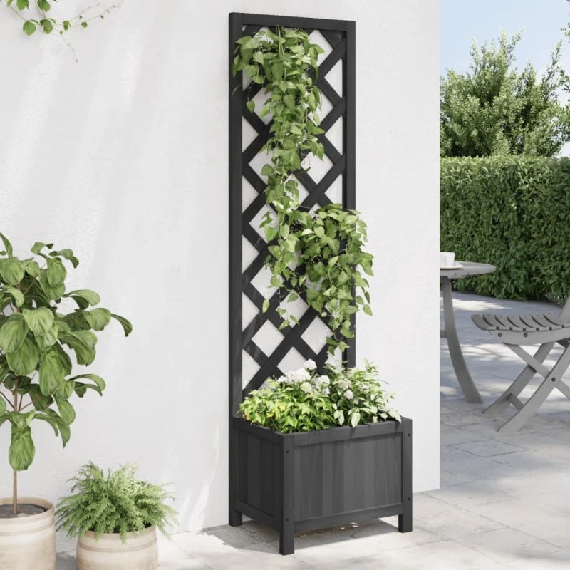 Plantekasse med espalier i massivt grantræ – sort