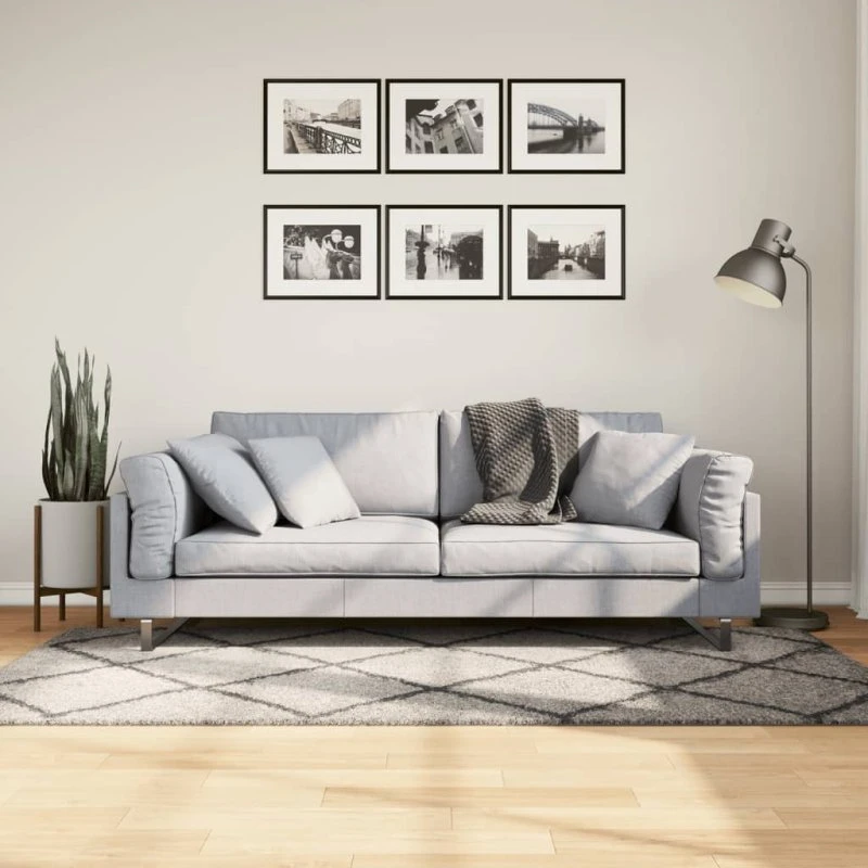 Shaggy gulvtæppe PAMPLONA 100x200 cm – beige/antracit