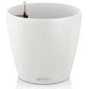 Lechuza CLASSICO Color 35 plantekrukke, Nutmeg