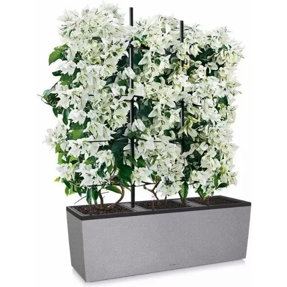 Lechuza TRIO Stone 40 cm inkl. espalier, stengrå