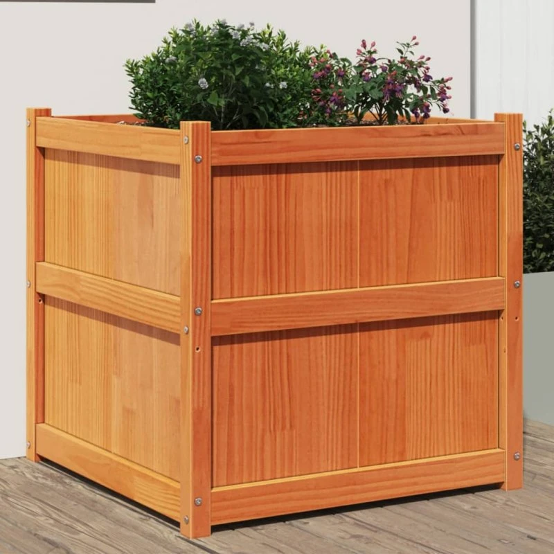 Plantekasse i massivt fyrretræ 70x70x70 cm – gyldenbrun