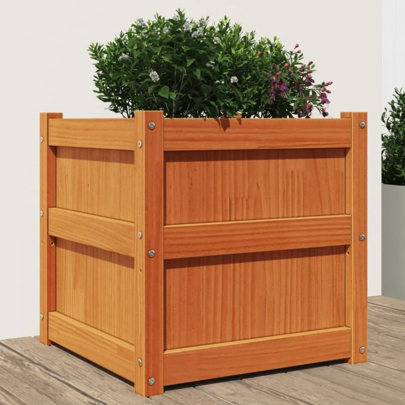 Plantekasse i massivt fyrretræ 50x50x50 cm – gyldenbrun