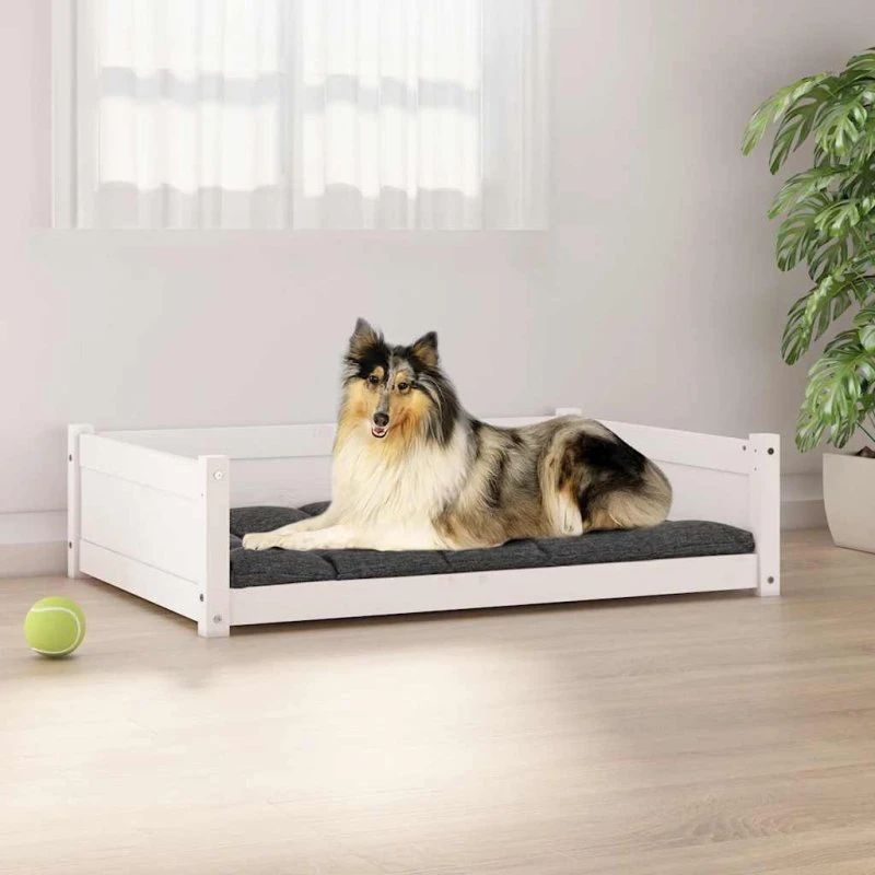 Hundeseng i massivt fyrretræ 95,5x65,5x28 cm - hvid