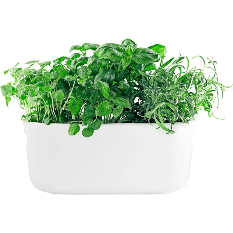 Eva Solo Selvvandende Herb Organiser - Hvid