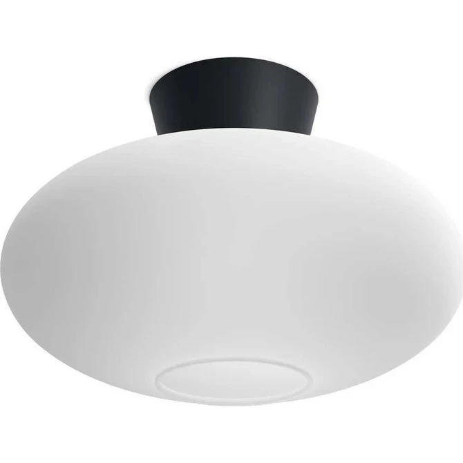 Belid Bullo XL plafond Ø38 mat sort/opal