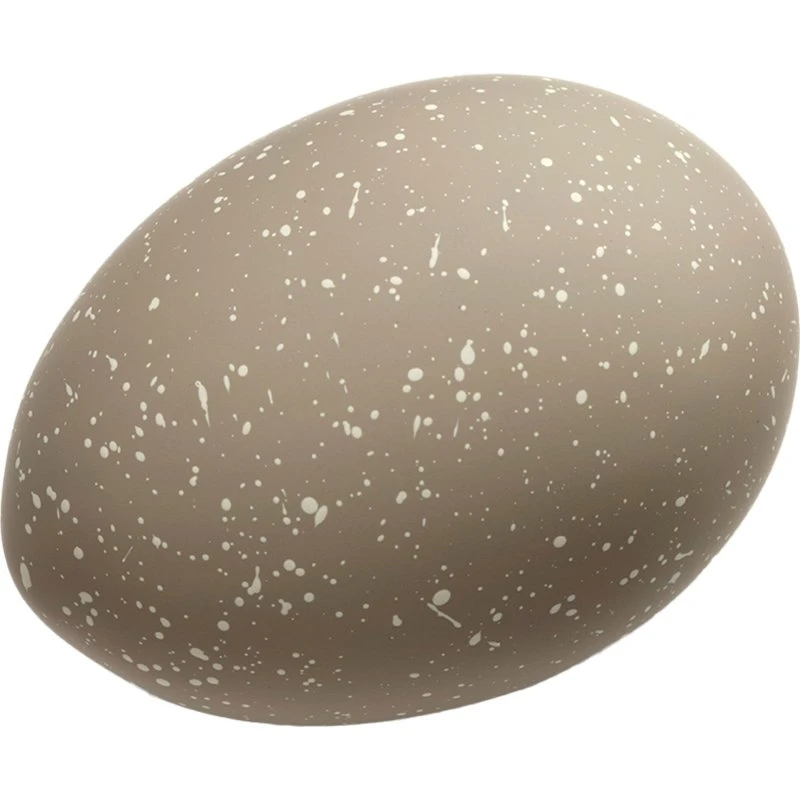 Cooee Design Æg Deco 2-pak – Sand