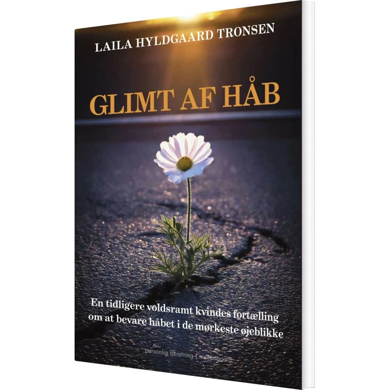 Glimt af håb – Laila Hyldgaard Tronsen