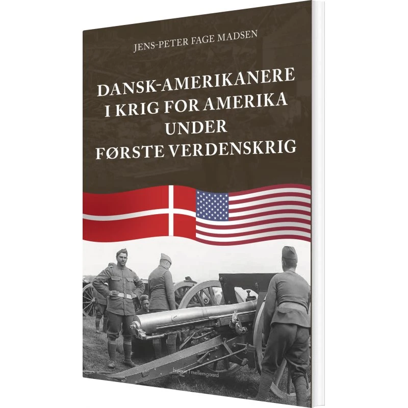 Dansk-amerikanere i krig: Første Verdenskrig