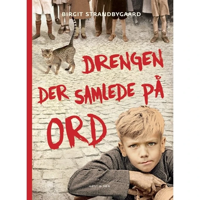 Drengen der samlede på ord – Birgit Strandbygaard