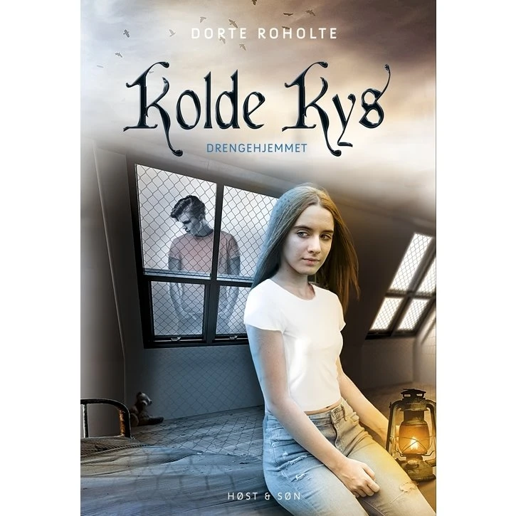 Drengehjemmet – Kolde kys (Dorte Roholte)