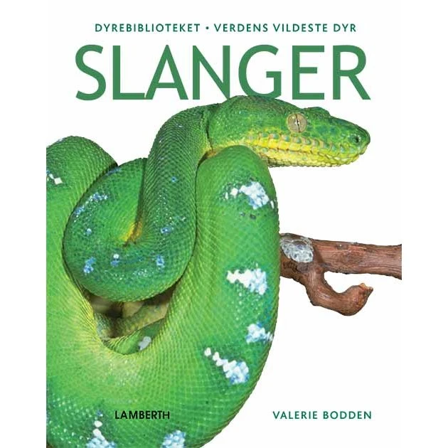 Slanger – Valerie Bodden: Billedbog om vilde slanger