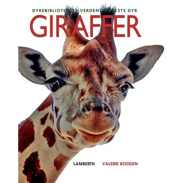Giraffer – billedbog af Valerie Bodden