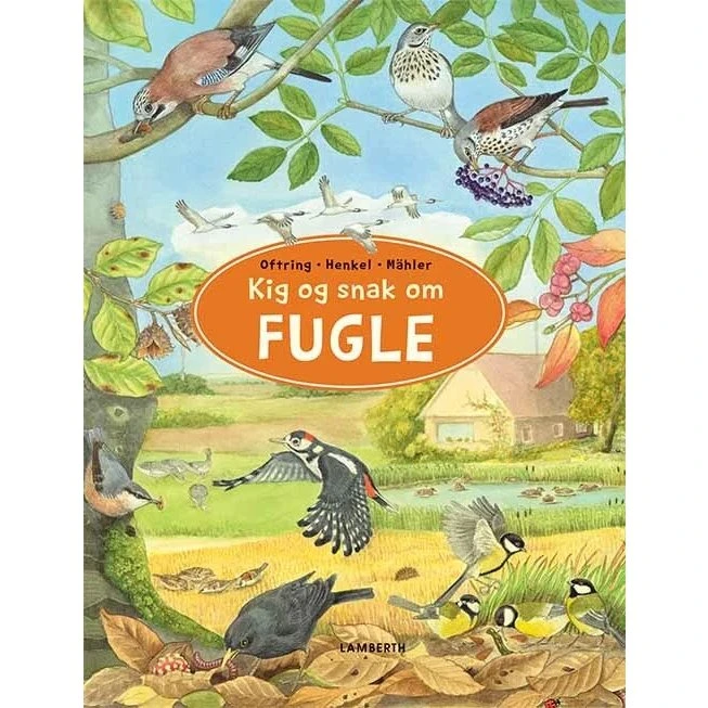Kig og snak om Fugle – billedbog om fugle for børn