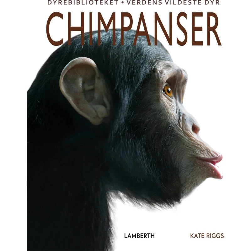 Chimpanser - Kate Riggs (Bog)