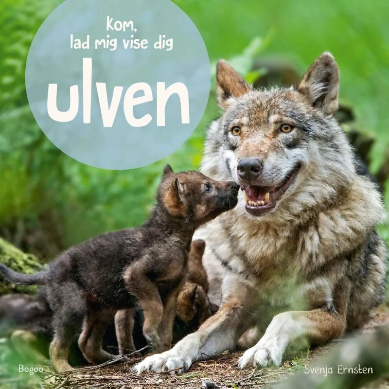 Kom, lad mig vise dig ulven - børnebog af Svenja Ernsten