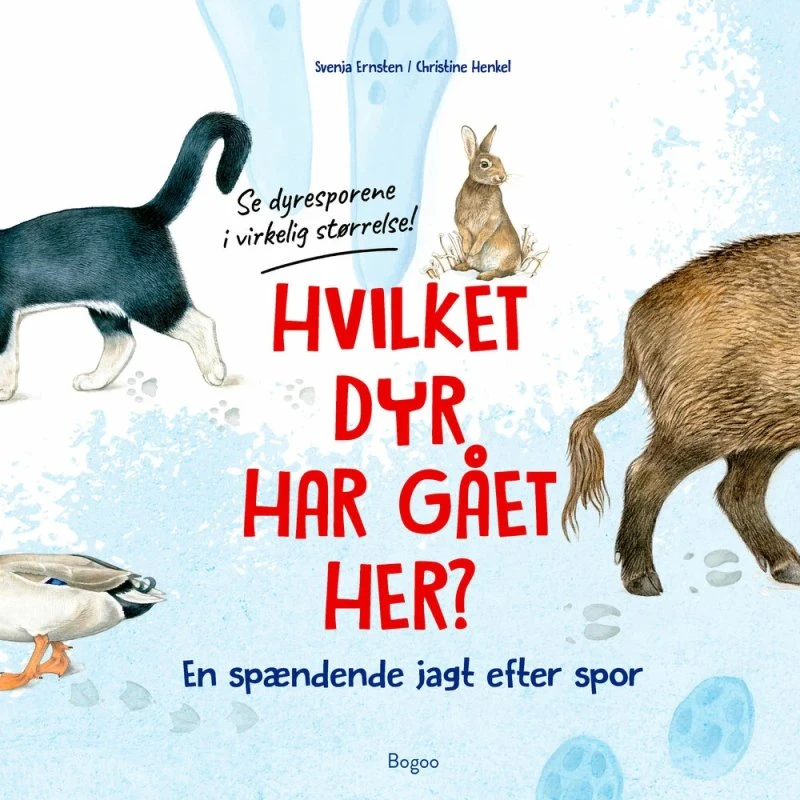 Hvilket dyr har gået her? Dyrespor i rigtig størrelse