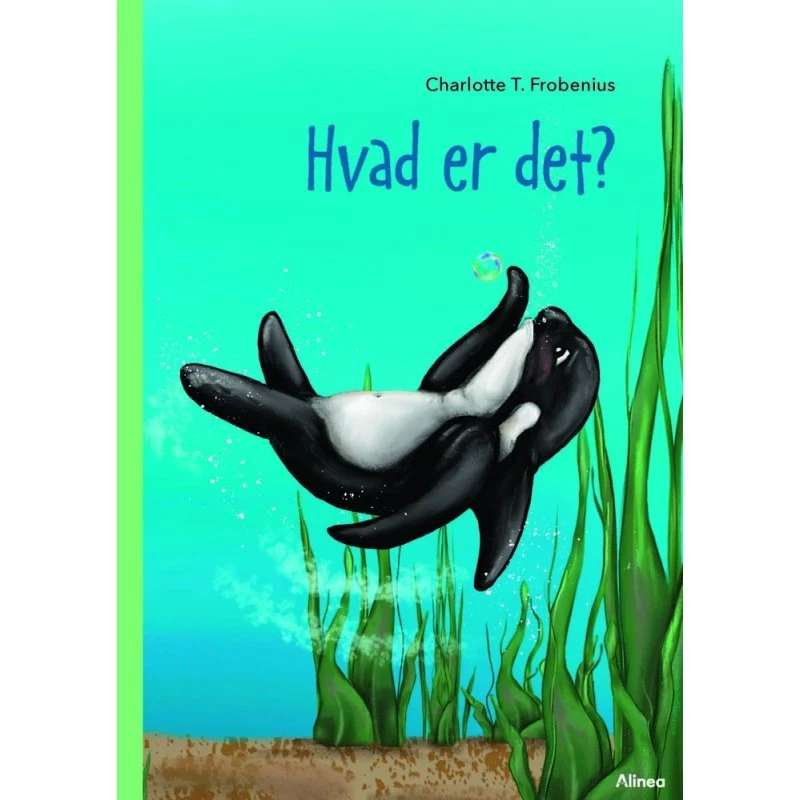 Hvad er det? – Grøn Læseklub (Charlotte T. Frobenius)