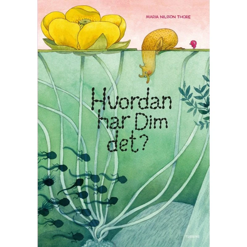 Hvordan har Dim det? - Maria Nilsson Thore