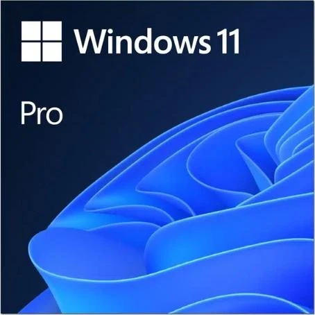 Microsoft Windows 11 Pro 64-bit ESD OEM - 1 licens
