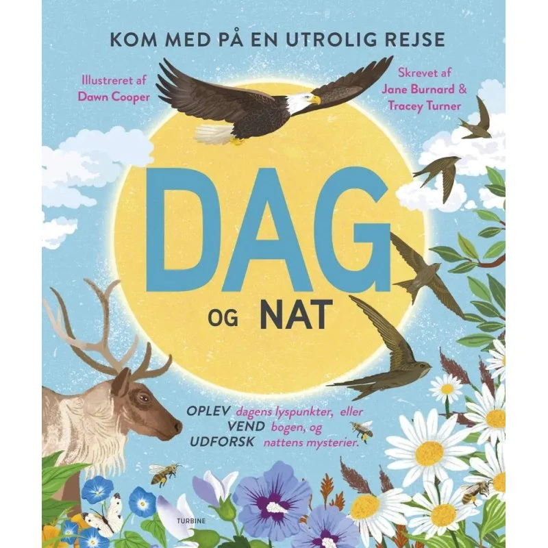 Dag og nat – Tracey Turner (Illustreret børnebog)