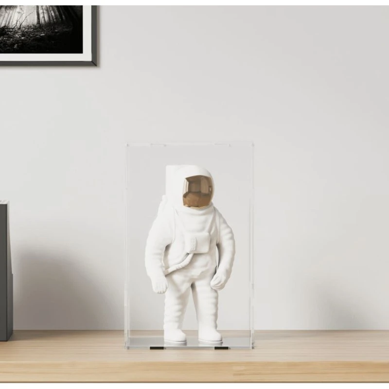 vidaXL displaykasse i klar akryl 22x18x35 cm