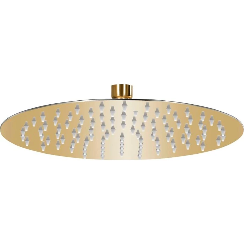 vidaXL regnbrusehoved 25 cm rund rustfrit stål guldfarvet