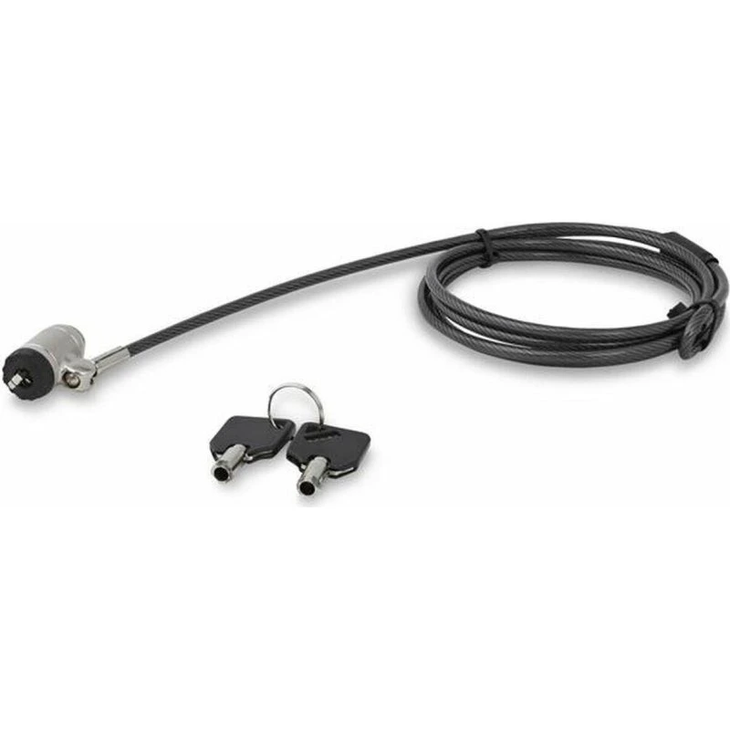 StarTech.com LTLOCKKEY 2 m nøgle-sikkerhedskabel, sølv