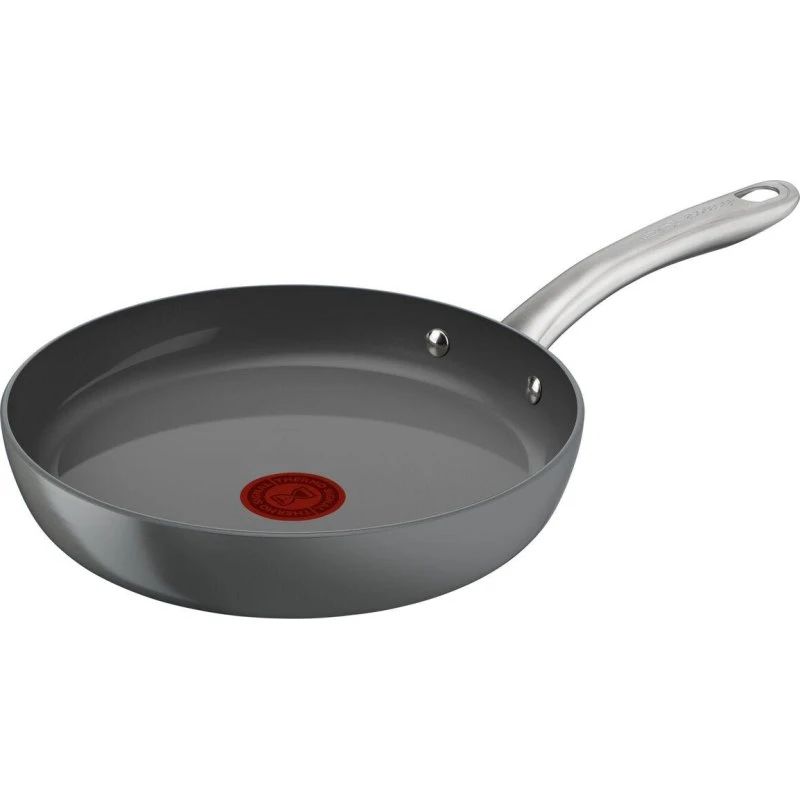 Tefal Renew+ Stegepande C4240253 Ø 20 cm, grå
