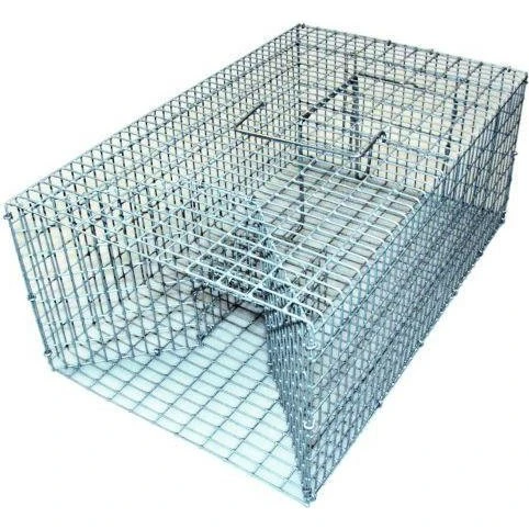 Rottefælde Familie - trådgitter 46 cm