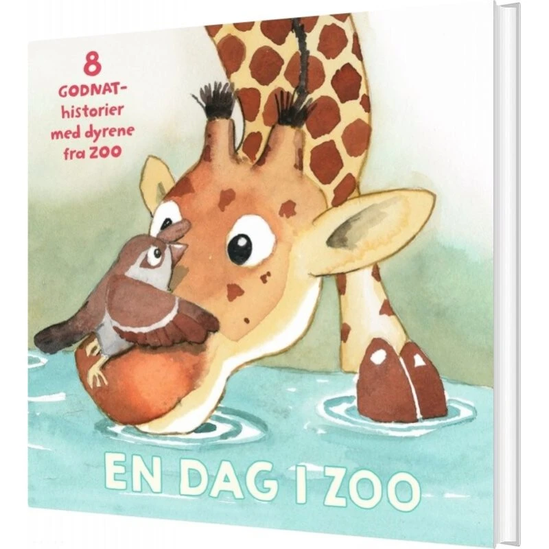Jan Mogensen: En dag i Zoo – 8 godnathistorier (hardcover)