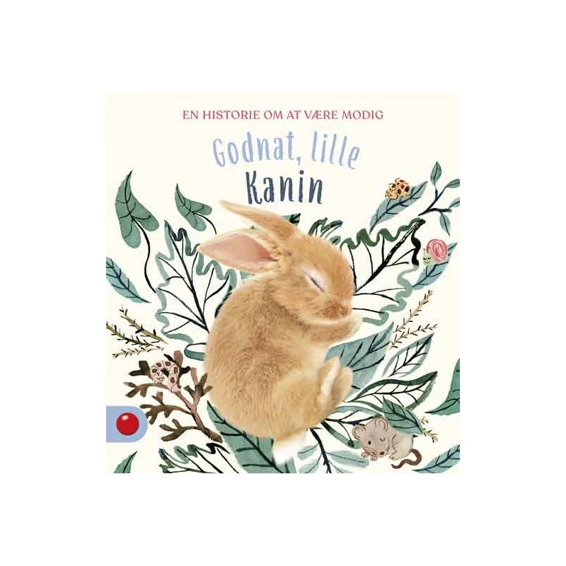 Forlaget Bolden Godnat, lille Kanin - Papbog