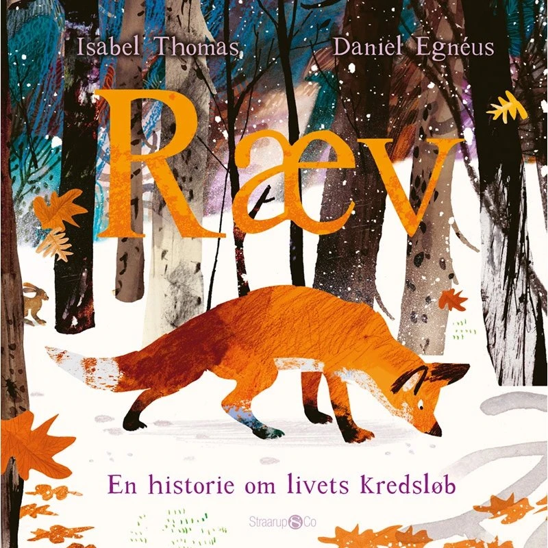 Isabel Thomas: Ræv – Børnebog (hardback)