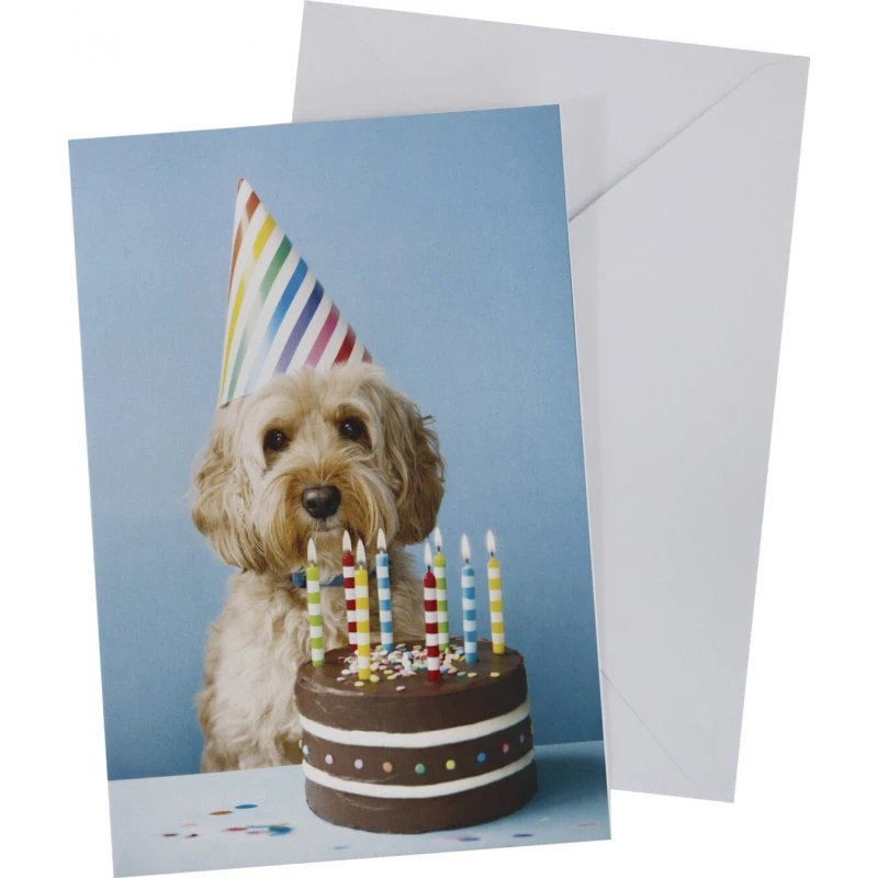 Scanseason Kort med konvolut – Hund med lagkage, 11 x 17 cm