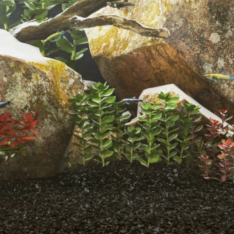 vidaXL akvariesand 25 kg 0,2–2 mm sort