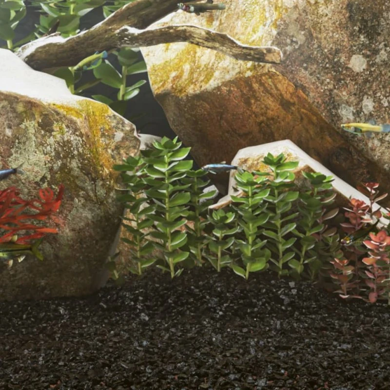 vidaXL akvariesand 10 kg 0,2–2 mm sort