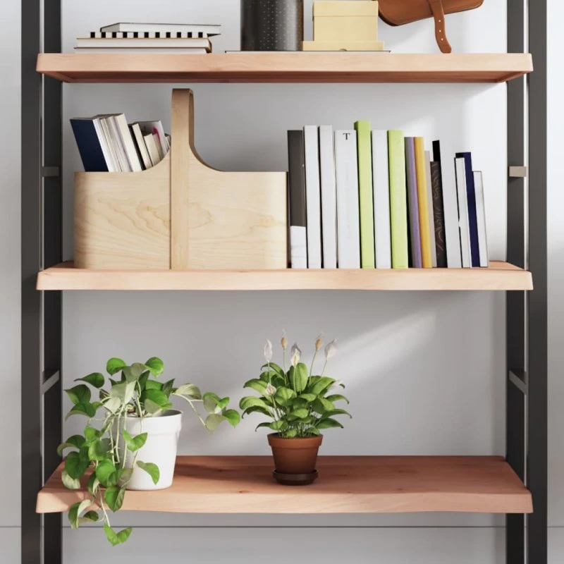 vidaXL væghylde 100x60x(2-4) cm ubehandlet massivt egetræ