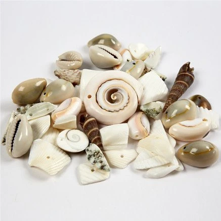Strandskaller mix 9-40 mm, hul 1-1,5 mm – 120 g