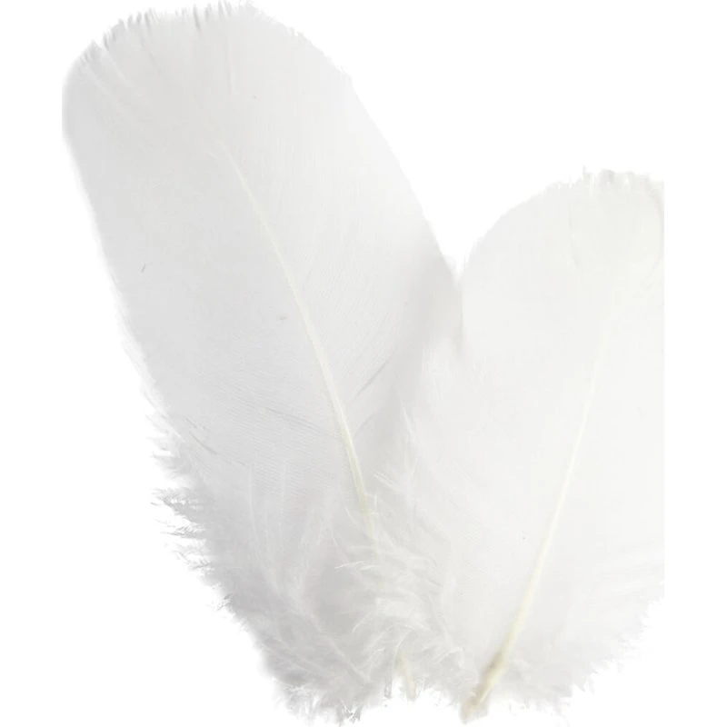 Rundfjer — gås, hvid 5–8 cm (3 g)