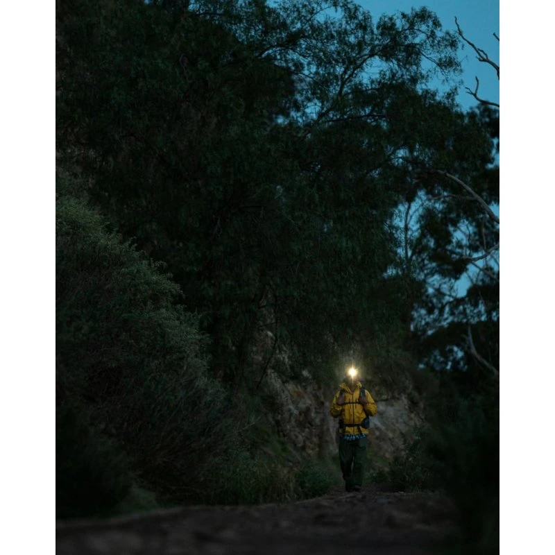 Knog Bandicoot 250 genopladelig pandelampe (Olive)