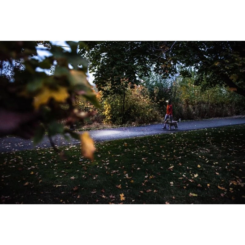 LEDLenser HF4R Core Red pandelampe 500 lm