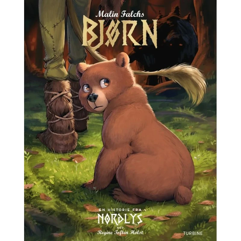 Malin Falch – Bjørn: En historie fra Nordlys (Hardback)