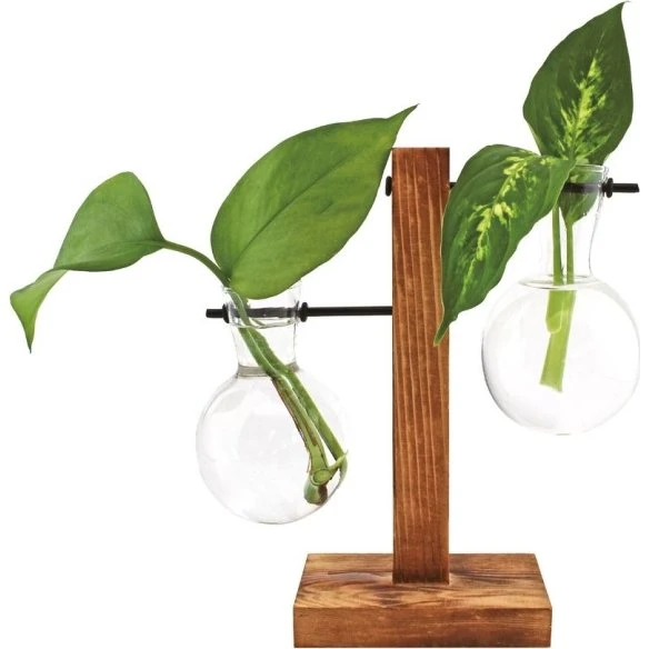 Winkee Hydro Vases Lilly – Hydroponisk vase