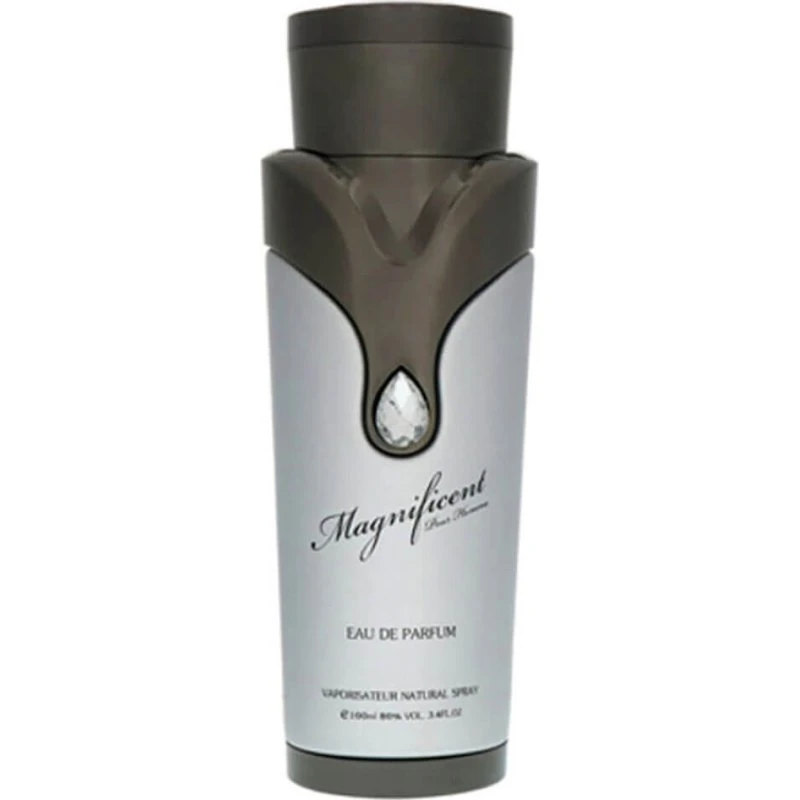 Armaf Magnificent Pour Homme Eau de Parfum 100 ml