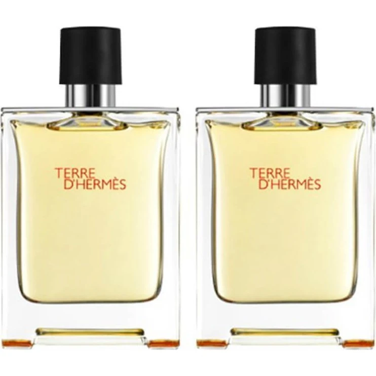Hermès Terre d'Hermès Duo Set 2 x 50 ml EDT