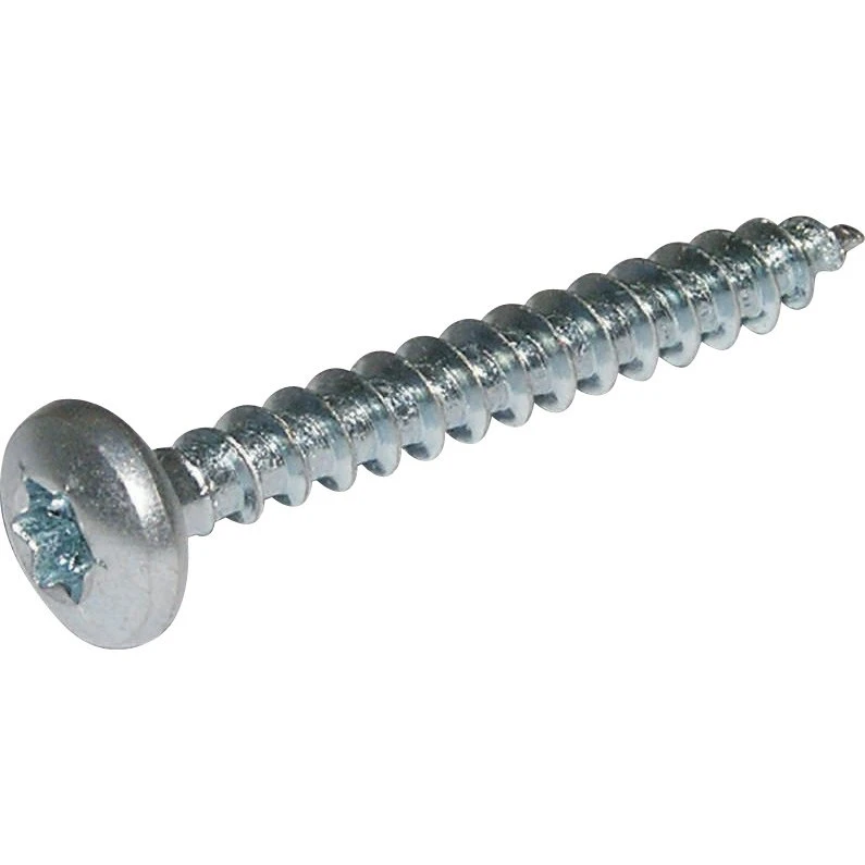 ELFZ Spunskrue Torx TX20 4,0x60 mm - 100 stk