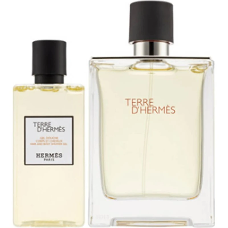 Hermès Terre d'Hermès Gavesæt EDT 100 ml
