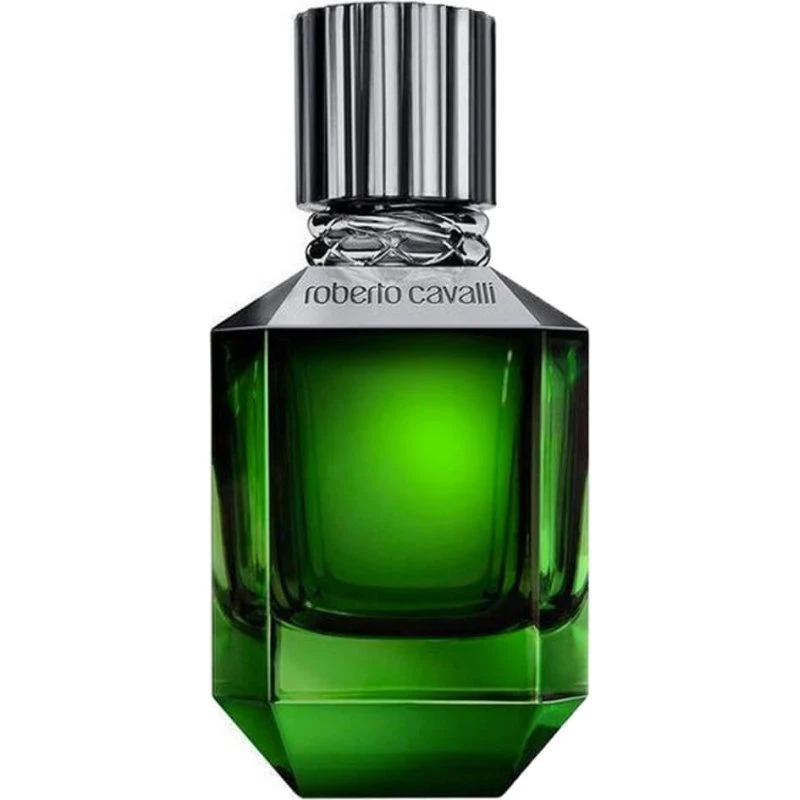 Roberto Cavalli Paradiso Found for Men EDT 75 ml