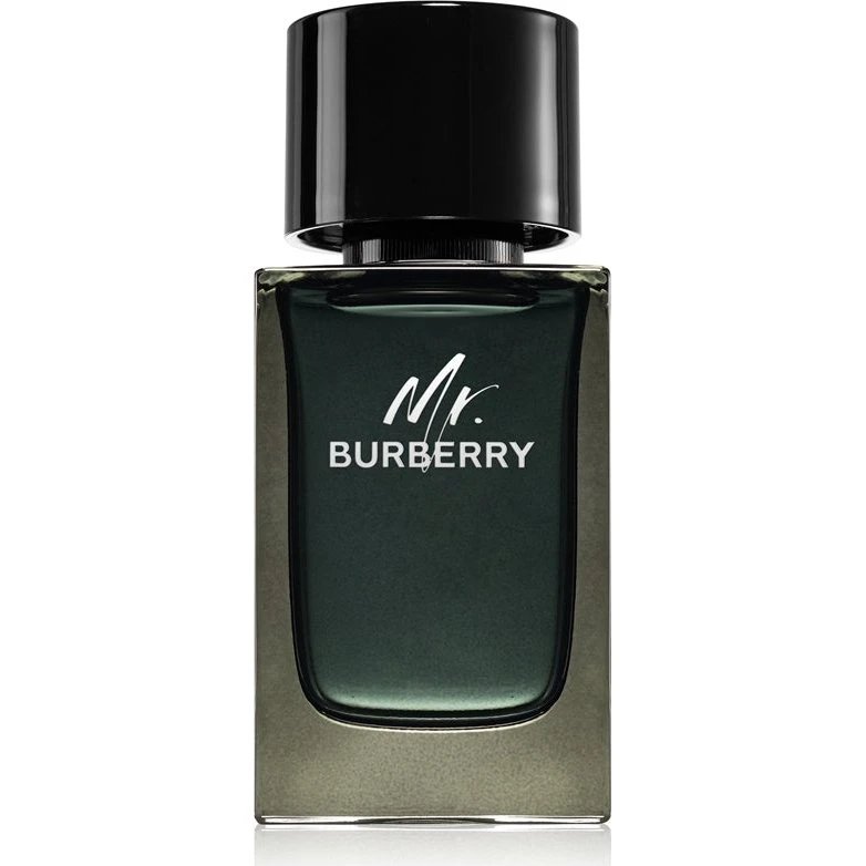 Burberry Mr. Burberry Eau de Parfum 100 ml