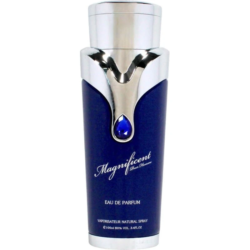 Armaf Magnificent Blue Pour Homme EDP 100 ml