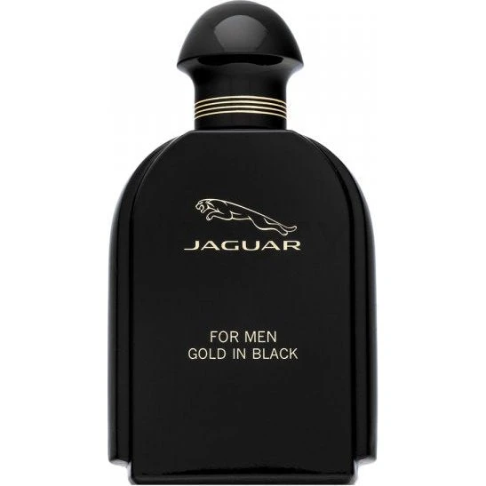 Jaguar For Men Gold in Black EDT 100 ml